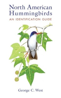 North American Hummingbirds