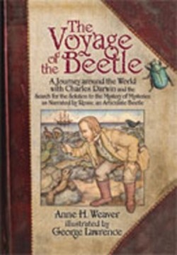 Voyage of the Beetle