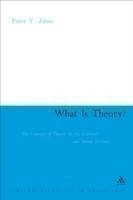 What is Theory?