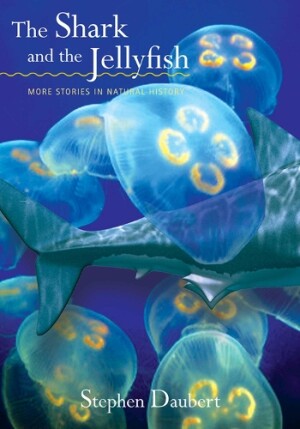 Shark and the Jellyfish