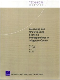 Measuring and Understanding Economic Interdependence in Allegheny County