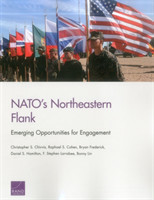 NATO's Northeastern Flank