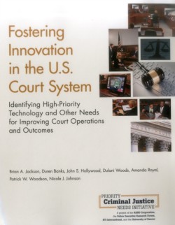 Fostering Innovation in the U.S. Court System