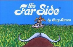 Far Side®