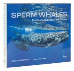 Sperm Whales