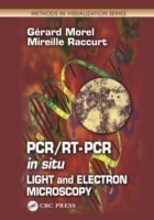 PCR/RT- PCR in situ