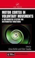 Motor Cortex in Voluntary Movements