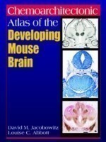 Chemoarchitectonic Atlas of the Developing Mouse Brain