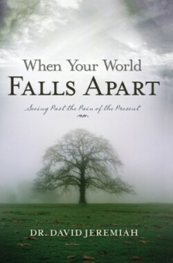 When Your World Falls Apart