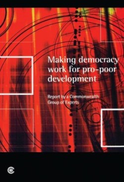 Making Democracy Work for Pro-poor Development