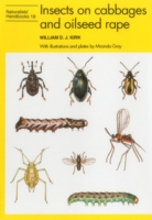 Insects on cabbages and oilseed rape