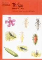 Thrips