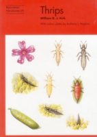 Thrips