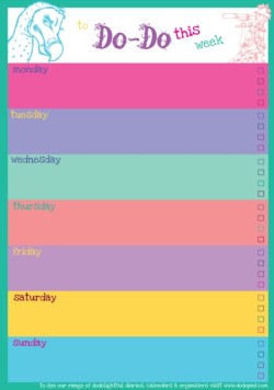 Dodo Weekly to Do Do Reminder List Planner Pad - Bright