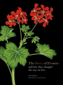 Story of Flowers