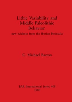 Lithic Variability and Middle Palaeolithic Behaviour