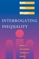 Interrogating Inequality