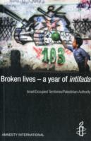 Broken Lives - One Year of Intifada