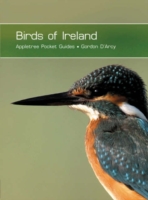 Birds of Ireland