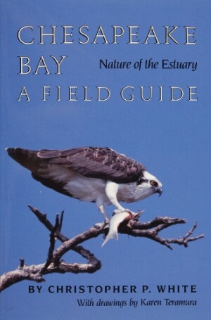 Chesapeake Bay Nature of the Estuary