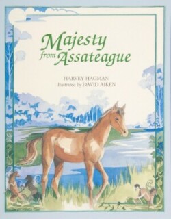 Majesty from Assateague