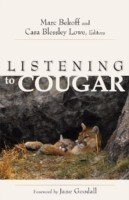 Listening to Cougar