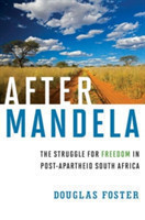 After Mandela: Struggle