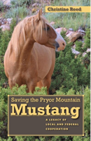 Saving the Pryor Mountain Mustang