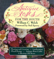 Antique Roses for the South