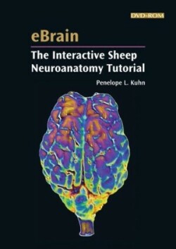 Ebrain: Interactive Sheep Neuroanatomy DVD-Rom