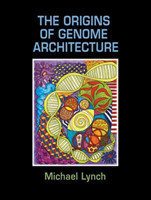 Origins of Genome Architecture