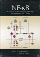 Nf-Kb, a Network Hub Controlling Immunity, Inflammation, and Cancer