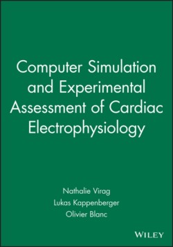 Computer Simulation and Experimental Assessment of Cardiac Electrophysiology