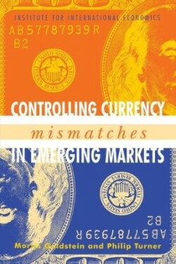 Controlling Currency Mismatches in Emerging Markets