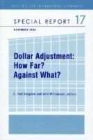 Dollar Adjustment – How Far? Against What?