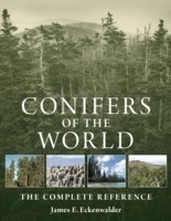 Conifers of World
