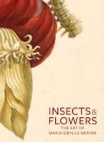 Insects and Flowers – The Art of Maria Sibylla Merian