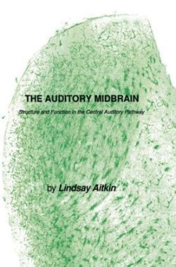 Auditory Midbrain