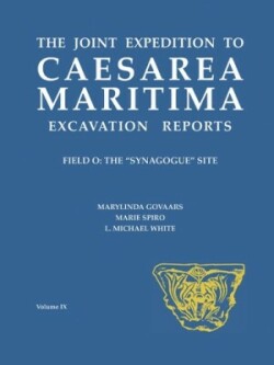 Joint Expedition to Caesarea Maritima Excavation Reports