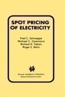 Spot Pricing of Electricity