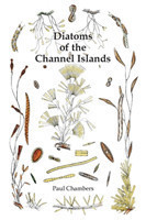 Diatoms of the Channel Islands