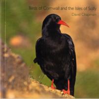 Birds of Cornwall and the Isles of Scilly