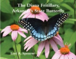  Diana Fritillary, Arkansas’s State Butterfly