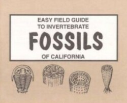 Easy Field Guide to Invertebrate Fossils of California