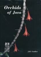 Orchids of Java