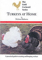 Turkeys at Home