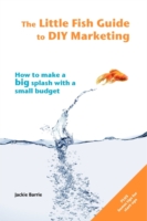 Little Fish Guide to DIY Marketing