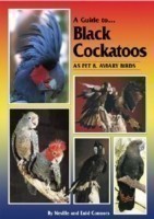 Black Cockatoos as Pet and Aviary Birds