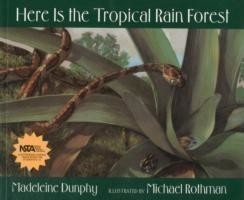 Here Is the Tropical Rain Forest