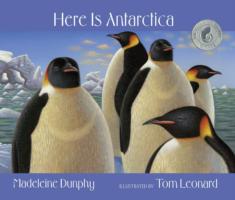 Here Is Antarctica